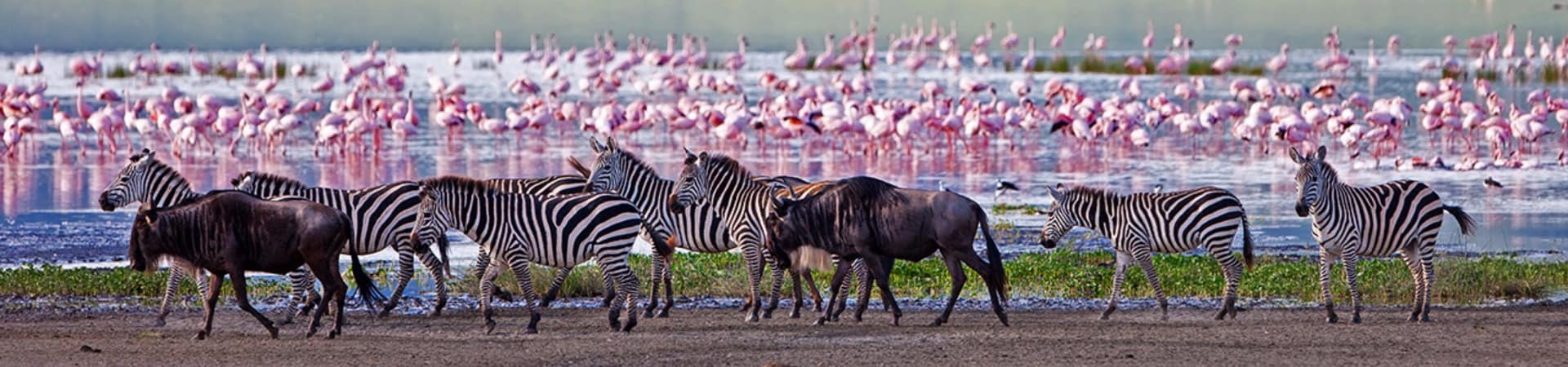 Cratera Ngorongoro